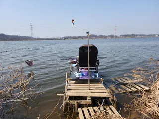 평택호 진위천 남양호 조황 소식