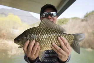 한버들 4 짜..솔 38 cm..화곡지 4 짜..달천강 4 짜..