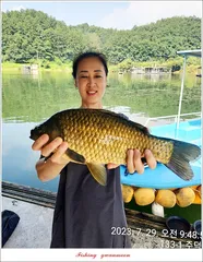 화곡지 4 짜 대물 및  휴가철 조황.. 