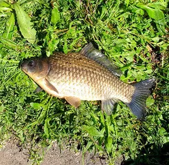 손맛보기 좋은 계절 4월.