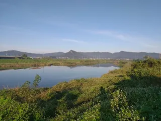 무료터 청미천 붕어 소식