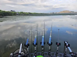 진위천 평택호 조황 