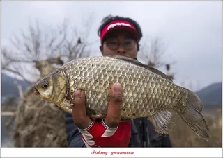 달천강..화곡지..칠성지..매전지..중산지..충주호 현황..