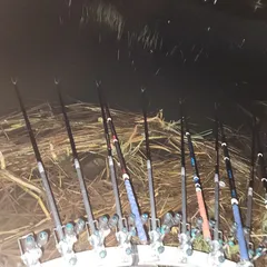 남양호 평택호 조황 소식