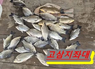 [고삼지]--좋습니다 노지무료