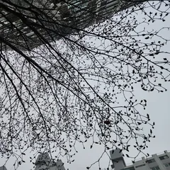 남양호 조황 소식