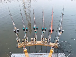 남양호 조황 소식