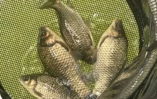 사암(용담낚시터)지--조용하게 해빙중