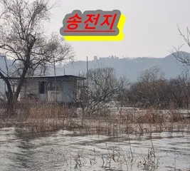 [송전지]--핫플입니다