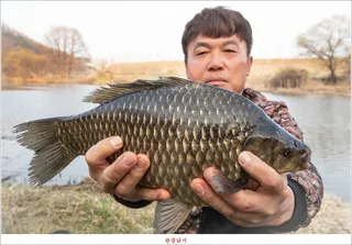 용원지..달천강..탄금호 대물  조황..