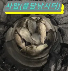 물낚시 할 수는 있지만 ㅡ두창지