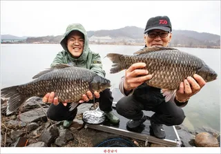 달천강 49 cm..47 cm..45 cm 및 화곡지 조황..