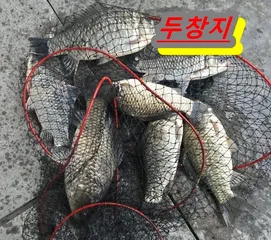 [두창지]--착한 낚시터입니다