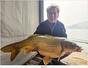 한버들 4 짜 및 목벌..화곡지 조황..