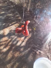 손맛 볼수 있을까요.