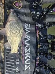 해남 원정3차 마지막날~~