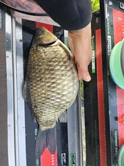 낚시하기 좋은 날