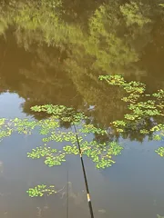 한 마리 볼수 있을까요.