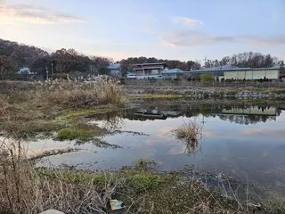 김천 백옥지 짬낚