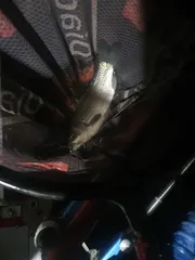 경치좋은 한방터