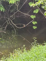 그디여무는구나 