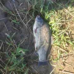 여주남한강 일원 에서1부...