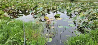 애장터에 왔네요