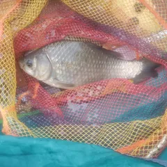 몃칠동안  비.바람이 속 썩이더 니~??