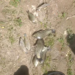 쉬멍놀멍 잡은거 일부 입니다..!