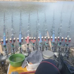 음성에서 ~2.3일차...??