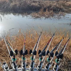 수심 30cm 무모한 도전 시작합니다