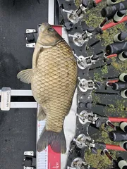 단 한번의 입질