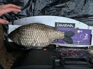 김천 선뜻 못 가는 남xx