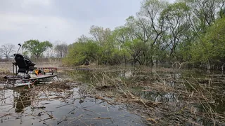 수심 20전에 찌를 세우다