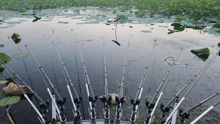 이번에도 한방터