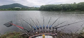 새못 분위기가 많이 바꼈네요