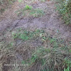 이게 그렇케 어려울까 요 ~??