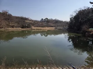 나와바리 물관리 안 하냐?