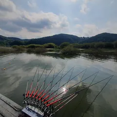 송전지 ㅅㅇ 좌대