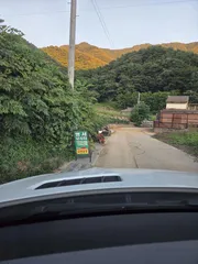 충주호가 준 선물