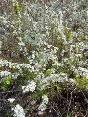 토종터 짬 낚시에 월척.