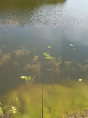 한 마리 나와 줄까요.?