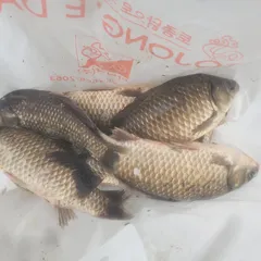 현재  까지  그럭저럭 ~??