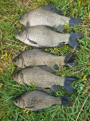 토종터 소류지.