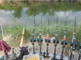 여주남한강 일원 에서~~!!