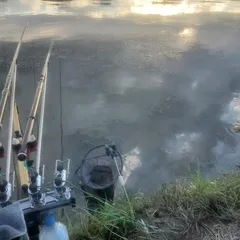 여주남한강 일원 에서...