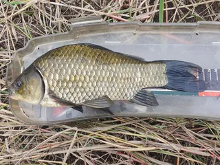 의성 토종터 소류지.