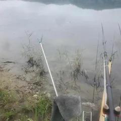 여주남한강 일원 에서 2번째 10일 일정 시작 했습니다..