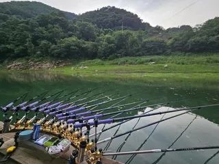 사오리  들어 왔습니다