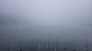 오늘 저녁엔 또 어떤 귀한 손맛이?